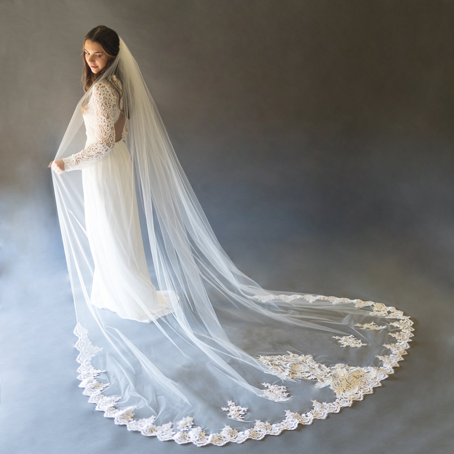 Showstopper lace veil  Wedding dresses, Lace veils, Bridal